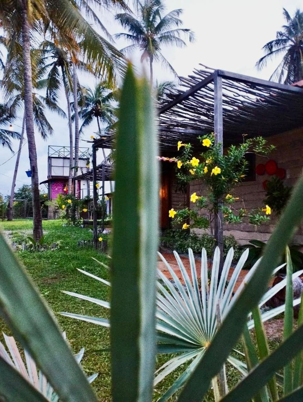 Mare De Atins Eco Lodge מראה חיצוני תמונה